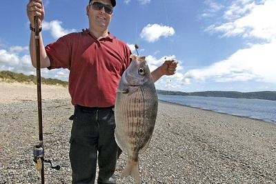 Donka bream a kezüket csinál tackle (saját) Donka bream a kezükben csinál szerelés