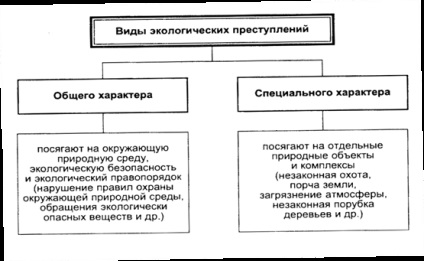 Környezeti üzleti ötletek és projektek