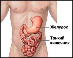 Bélhurut, tünetek és népi jogorvoslati lecheniyaenterita (tünetek) Bélhurut, tünetek és népi jogorvoslati lecheniyaenterita