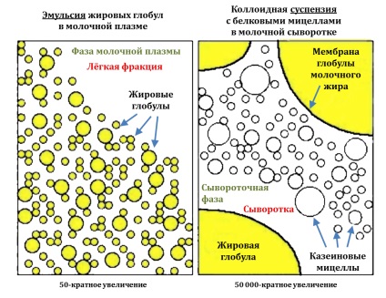 Ismét a „front” és a „vissza” a tej - szoptatása babák! ( „Első-hátsó egyensúlytalanság tej”) Ismét a „front” és a „vissza” a tej - szoptatása babák!