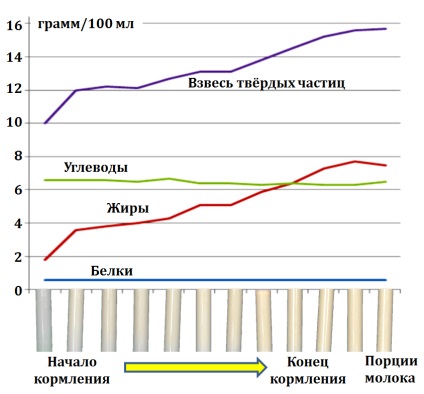 Ismét a „front” és a „vissza” a tej - szoptatása babák! (Front) Ismét a „front” és a „vissza” a tej - szoptatása babák!