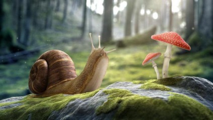Ha esznek, gomba, hogy lesz a következménye a mérgezés légyölő galóca (Amanita) Ha esznek gombát, hogy lesz a következménye légyölő galóca mérgezési