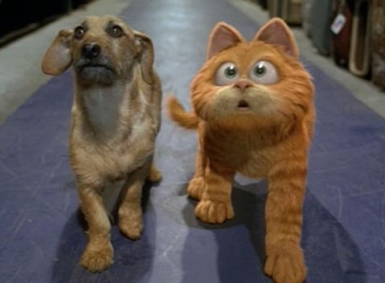 Garfield a film szereplői, telek, értékelés (Garfield) Garfield film szereplői, telek, vélemények