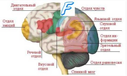 Vérzéses stroke 1 (diagnosztika) Vérzéses stroke 1