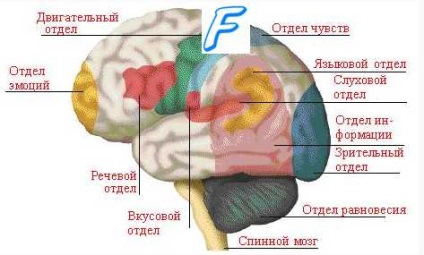 Vérzéses stroke 1