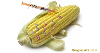 GMO - megfejtése rövidítések, mi ez