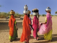 India főzés (indiai konyha) India főzés