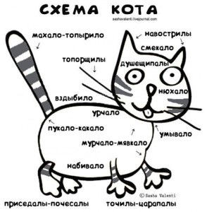 Érdekes események az élet egy macska és egy kutya, egy jótékonysági egyesület állatok () védelem Érdekes események az élet egy macska és egy kutya, egy jótékonysági egyesület Állatjóléti