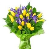 Iris leírás virág értéke