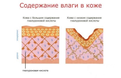 Milyen gyakran lehet és kell tenni biorevitalisation (kötelező) Milyen gyakran lehet és kell tenni biorevitalisation