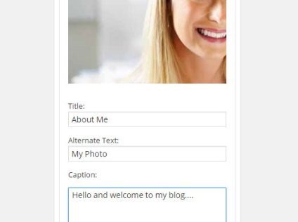Hogyan adjunk egy képet a Oldalsávmodul wordpress (add) Hogyan adjunk egy képet a Oldalsávmodul wordpress