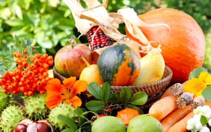 Milyen gyümölcsök zöldségek fokozza az immunitást, bogyós gyümölcs keveréket felnőtteknek