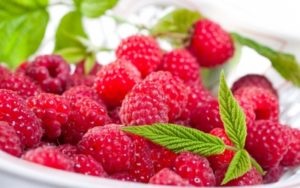 Milyen gyümölcsök zöldségek fokozza az immunitást, bogyós gyümölcs keveréket felnőtteknek
