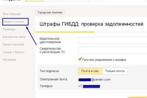 Hogyan kell fizetnie a bírságot nélkül közlekedési rendőrök jutalék internetes hitelkártya, takarékpénztár, Yandex pénzt és stb