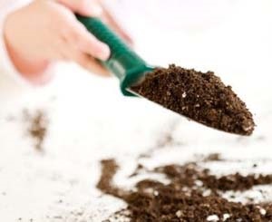Hogyan állapítható meg, a savasság a talaj - kertészek