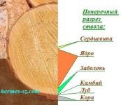 Hogyan lehet megkülönböztetni a fa - nézd meg a főbb felhasznált faanyag