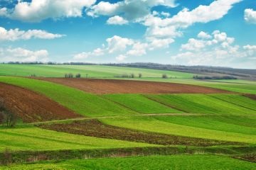 Hogyan lehet hozzájutni termőföld ingyenes és díjköteles