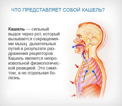 Hogyan, hogy a léghajó otthon (néhány nappal a kezdet) Hogyan, hogy a léghajó otthon