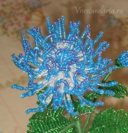 Hogyan szövés tűt, a mester osztály krizantém Bead, vnestandarta (mindkét végén a huzal) Hogyan készítsünk egy szövés tű, a mester osztály krizantém gyöngy, vnestandarta