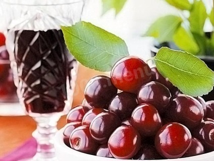 Hogyan készítsünk bort cseresznye egyszerű recept otthoni