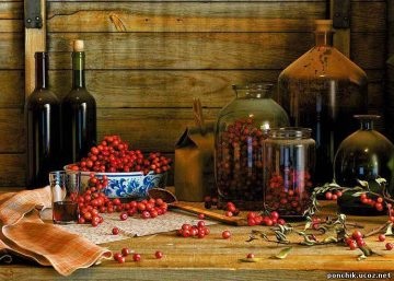 Hogyan készítsünk bort erjesztett gyümölcs kompót vagy lekvár - házi receptek alkohol