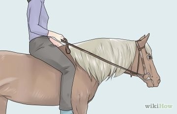 Hogyan lehet nyugodt egy rémült ló 1