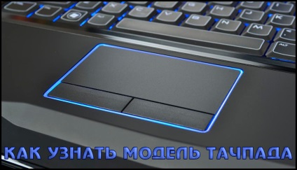 Hogyan talál egy touchpad egy laptop