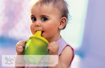 Hogyan válasszuk ki a takarmányozási csésze a gyermek top 4 legjobb modellek