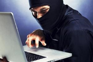 Hogyan válasszuk ki a sampon bolhák macskák és hogyan kell használni (a bolha) Hogyan válasszuk ki a sampon bolhák macskák és hogyan kell használni
