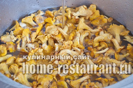 Mivel a téli fagyás chanterelles lépésről lépésre képekkel (fagyasztva téli rókagomba) Mivel a téli fagyás chanterelles lépésről lépésre fotókkal