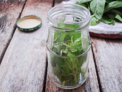 Hogyan befagyasztására menta télen (recept) Hogyan befagyasztására menta téli