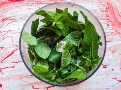 Hogyan befagyasztására menta télen (recept) Hogyan befagyasztására menta téli