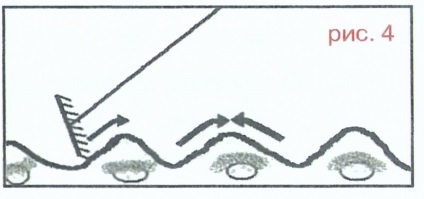 Burgonya - ültetett és ásott (ültetett) Burgonya - ültetni, és ásott