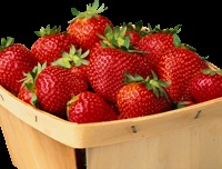 Strawberry bősége, mit kell enni eper júniusban