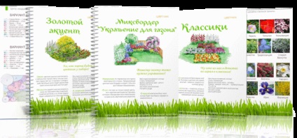 Gyűjtemény szerző virágágyások (gyűjtemény) Gyűjtemény szerző virágágyások