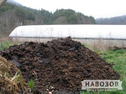 Cow trágyából műtrágya (tehén) Tehéntrágyán trágyaként