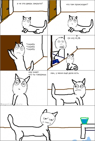 Macskák és ajtók