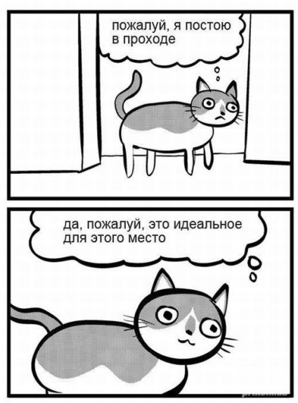 Macskák és ajtók (Cauchy) Macskák és ajtók