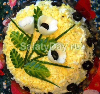 Gyönyörű saláták - ízletes és könnyen elkészíthető receptek fotókkal és videó