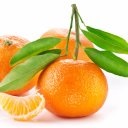 Csirke narancs pezsgő - recept fotókkal - patee
