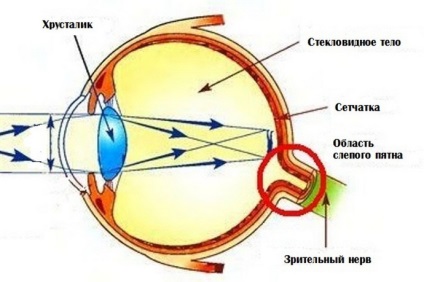 Quantum átmenet (fénykép 6) (kapcsoló) Quantum átmenet (6 fotók)