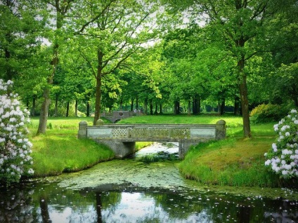 Parkosítás a tér és park fotók