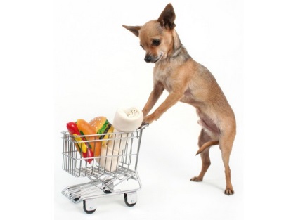 Terápiás eledel kutyák hasnyálmirigy-gyulladás, „Royal Canin”, diéta, táplálkozás, táplálás, amit a takarmány