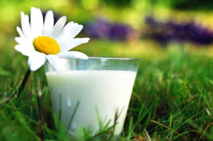 Kezelése a tej és tejtermékek, a gyógyító tulajdonságait a tej
