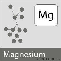 Magnézium az emberi szervezetben (a magnézium az emberi szervezetben) Magnézium az emberi szervezetben