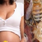 Erősítő terpentin plus használati utasítást (SAP) Terpentin plus használati utasítás