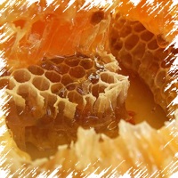 Méz propolisszal gyógyír minden alkalommal mézet hordó