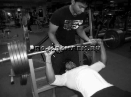 Muscle stabilizátorok - pro-Kach - Bodybuilding kezdőknek