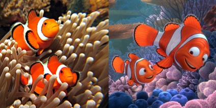 Tengeri élet rajzfilm - Finding Dory (rajzfilm) Tengeri élet rajzfilm - dori kereső