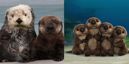 Tengeri élet rajzfilm - Finding Dory (Finding Dory) Tengeri élet rajzfilm - dori kereső